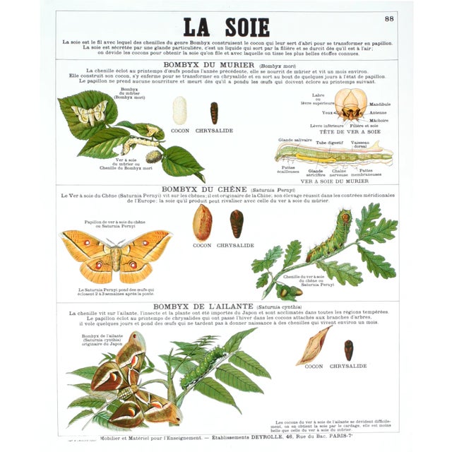 Figurative 2004 Emile Deyrolle 'La Soie (Silk)' Multicolor,White,Green France Lithograph For Sale - Image 3 of 3