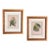 Pair of Framed John Gerrard Keulemans Lory Prints | 1896 Hand-Colored Lithographs, Mivart's Monograph of the Lories For Sale
