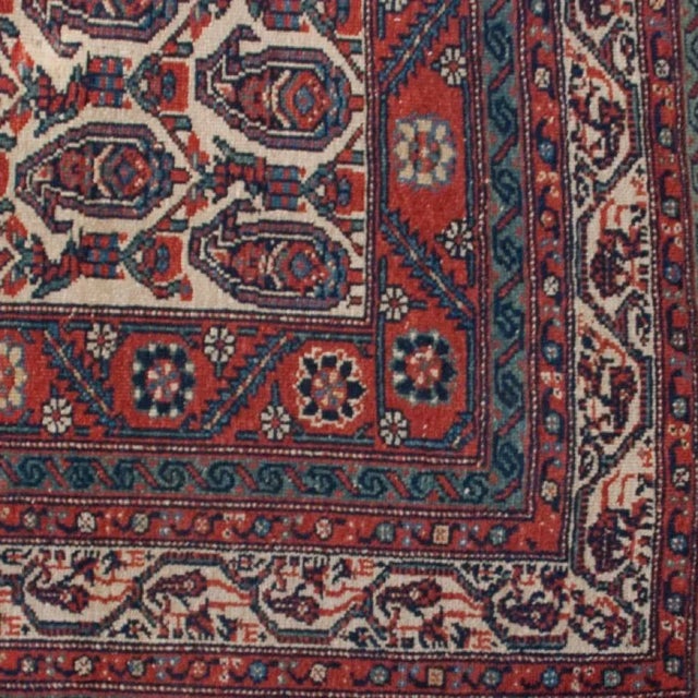 Early 20th Century Nahavand Carpet For Sale - Image 4 of 4