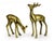 Bring a touch of vintage woodland charm to your home with this elegant pair of Mid-20th Century Brass Deer Figurines....