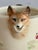 English Fox Hunt Pitcher For Sale - Image 3 of 11