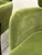 Caleb Zipperer for Cb2 Azalea Forest Green Logan Velvet Armchairs, Pair For Sale - Image 4 of 12
