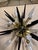 Mid-Century Modern Sparta 6 Light by HVL For Sale - Image 3 of 9