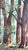1970s "Back Road" California Redwoods Santa Cruz County Original Oil Painting by Gorman Woody For Sale - Image 5 of 8