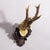 Antique Black Forest Red Deer Trophy on Carved Plaque - Germany 1932 An antique red deer (Capreolus capreolus) trophy on a...
