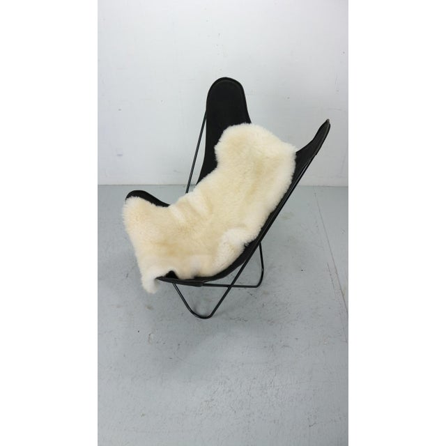 BKF Butterfly Chair attributed to Jorge Hardoy-Ferrari for Knoll, 1960s For Sale - Image 17 of 18