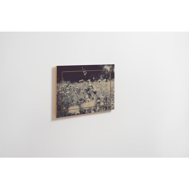 Contemporary 60×40-1 Fläpps Shelf by Ingrid Beddoes for Ambivalenz For Sale - Image 3 of 5