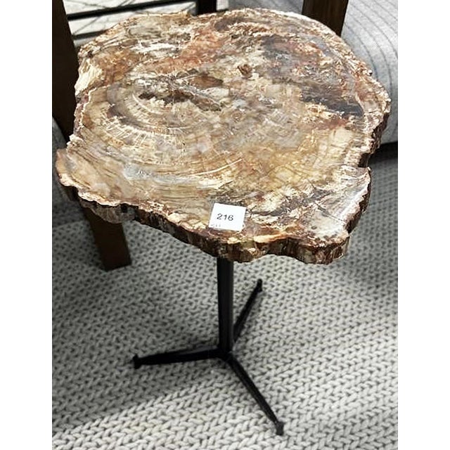 Brown Petrified Wood Side Table For Sale - Image 8 of 8