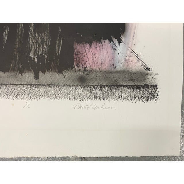 David Cochran Rain Dance Lithograph For Sale - Image 4 of 6