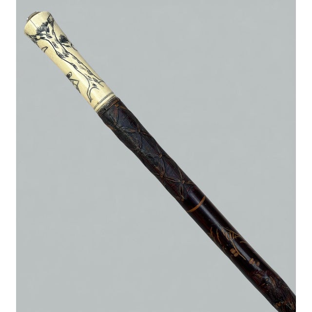 Victorian Antique Victorian Vintage Bovine Whale Bone Malacca Wooden Walking Stick Cane For Sale - Image 3 of 10