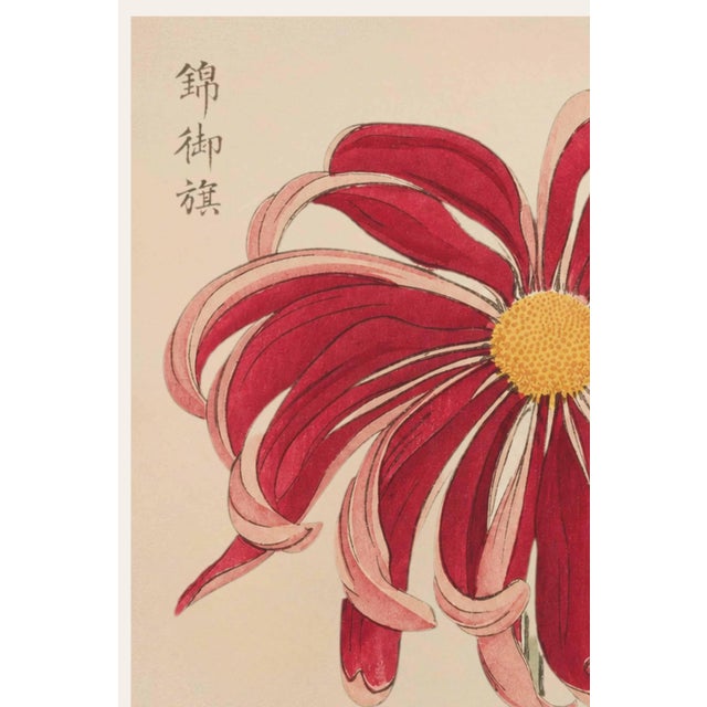 Asian Floral Giclée, Vintage Japanese Red Botanical Art Print A refined example of late 19th-century Asian floral art,...