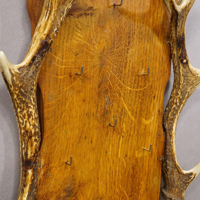 Rustic European Antique Black Forest Antler Key Rack, Germany Ca. 1930s For Sale - Image 3 of 7