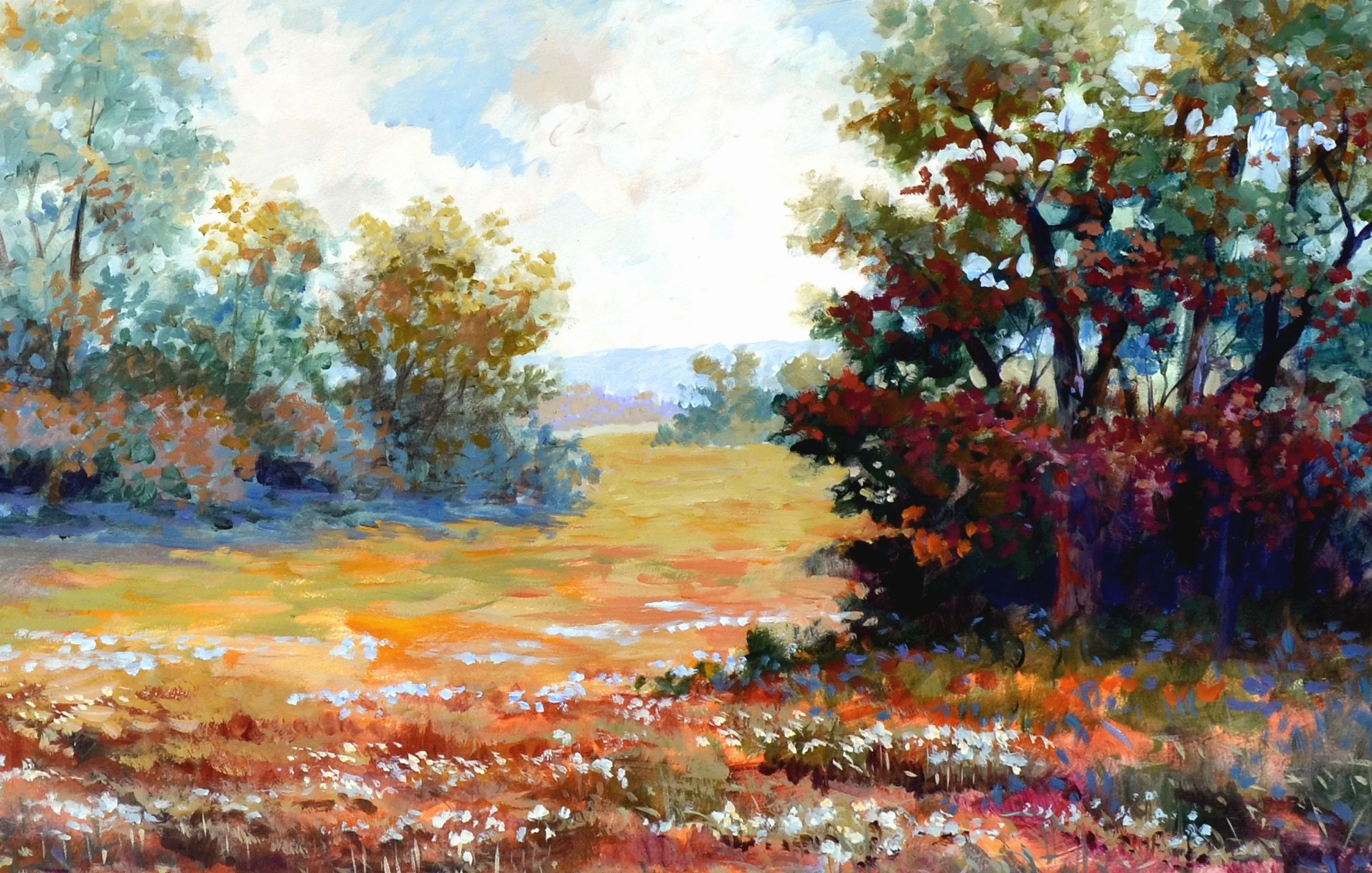 spring-in-the-valley-landscape