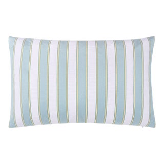 Scalamandre 22" x 14" Piano Stripe Pillow in Robin'S Egg For Sale