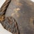 Early 20th Century Dan Deangle Passport Mask For Sale - Image 4 of 8
