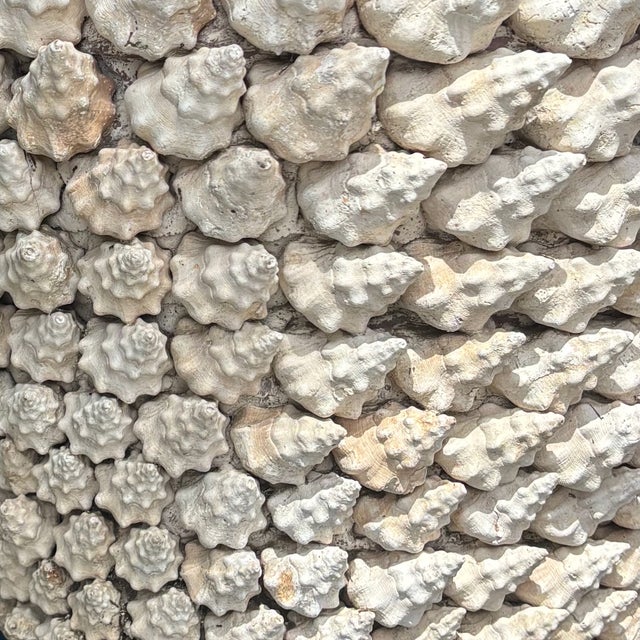 Monumental Italian Coquillage Shell-Encrusted Terracotta Planter, Mid-20th Century For Sale - Image 4 of 14