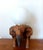 Gold Vintage Elephant and Opaline Table Lamp, 1940s For Sale - Image 8 of 13