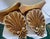 Wonderful and impressive, Pair of Florentine Large Carved Wood Shell Wall Brackets, made in Italy This pair has a deep...