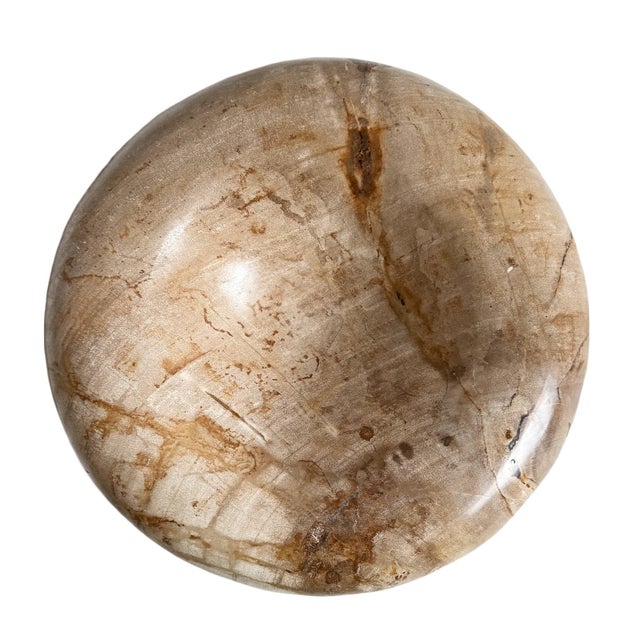 Vintage Organic Modern Petrified Wood Decorative Bowl For Sale - Image 4 of 7
