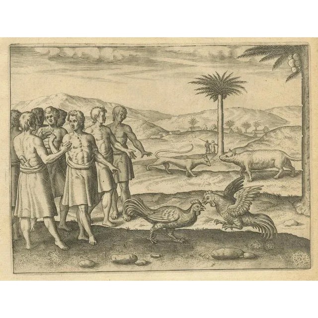 Sacred Trees and Exotic Animals, 1598, Paper, Set of 4 For Sale - Image 6 of 10