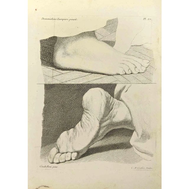 Nicholas Cochin after Guido Reni, Anatomy Studies, Etching, 1755 For Sale