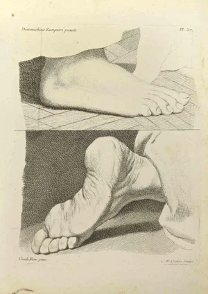 Nicholas Cochin after Guido Reni, Anatomy Studies, Etching, 1755
