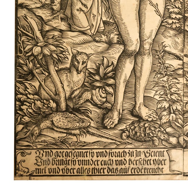 16thCentury German Northern Renaissance Woodcut Print Adam & Eve Baron Von Lanna by Hans Burgkmair the Elder, 1525 For Sale - Image 12 of 18