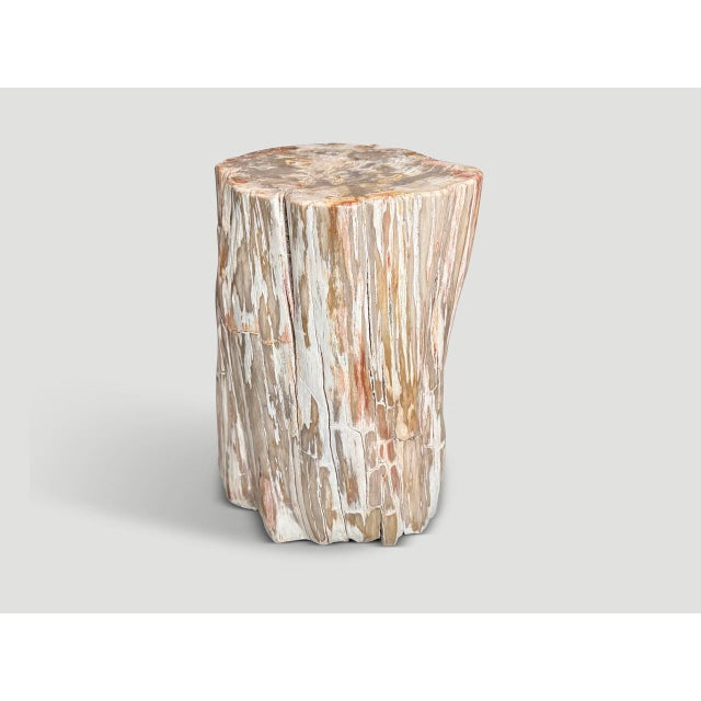 Contemporary Andrianna Shamaris Coral Toned Ancient Petrified Wood Side Table For Sale - Image 3 of 5