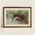 Bring classic sporting style to your walls with our framed reproduction print of “Leaping Brook Trout” by American artist...