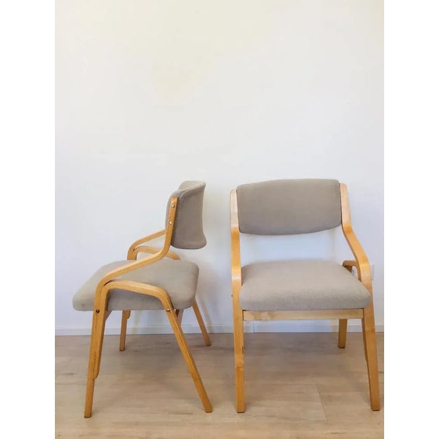 Set of Chairs by Ludwig Volak for Drevopodnik Holesov For Sale - Image 10 of 13
