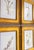 Custom Framed Vintage Finnish Herbarium Botanical Specimens, Set of Four For Sale - Image 12 of 16
