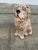 This is a handmade ceramic dog figurine, skillfully crafted to capture the charm and personality of a loyal canine...