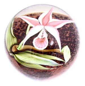Orient & Flume Pink Sobralia Orchid Blown Glass Paperweight