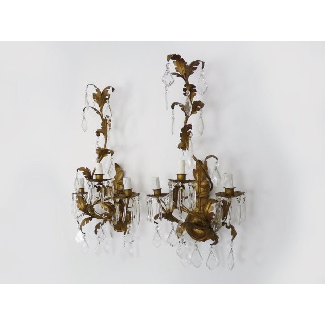 Large Foliage Wall Lights with 3 Arms of Lights in Gold Metal, 1970s For Sale - Image 3 of 10
