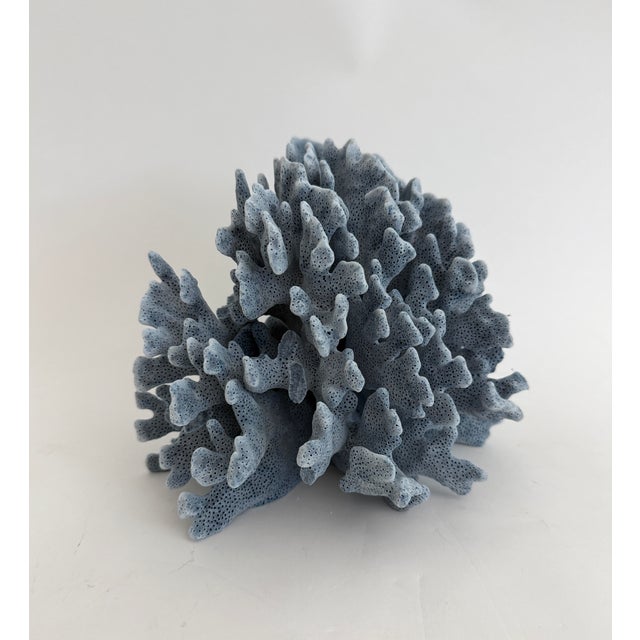 Chinoiserie Natural Blue Coral Specimen Coastal Decor For Sale - Image 3 of 7