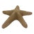 Large Natural Jungle Starfish For Sale