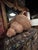 Contemporary Monumental Woven Rattan Shell Form Sculpture For Sale - Image 3 of 11