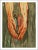 Artist: Salvador Dali Country: Spain Title: Hell 16 – The mount of geryon Medium: Original Woodcut Marks: Not signed not...