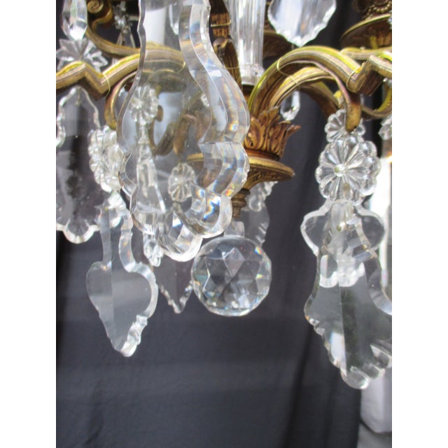 French Gilt Bronze 8 Light Crystal Chandelier Circa 1900 For Sale - Image 13 of 18