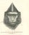 The Gorilla is an original lithograph on ivory-colored paper, realized by Paul Gervais (1816-1879). The artwork is from...
