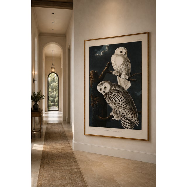White Snowy Owl, 1827 – John James Audubon Vintage Bird Art Print, 20" X 30" For Sale - Image 8 of 10