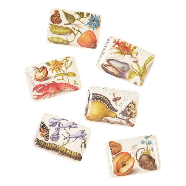 Our Botaniste melamine collection features antique natural history engravings and watercolors with a bit of an eccentric...