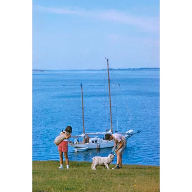 A Summer Yachting Trip 1958 Children feed lambs ashore while on a yachting trip in Maine, USA, 1958. Toni Frissell...