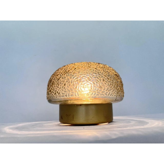 Mid-Century Ceiling Lamp, Germany, 1970s For Sale - Image 6 of 8