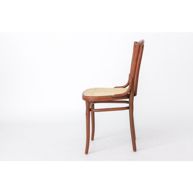 1940s Antique Austrian Bentwood Rattan Bistro Chair in the Style of Thonet No. 56, 1930s For Sale - Image 5 of 12