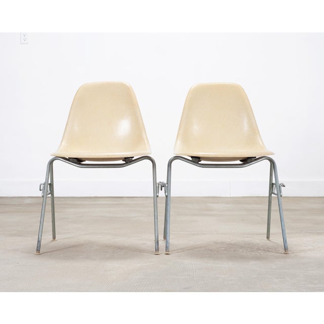 Herman Miller Set of Four Herman Miller DSS Mid-Century Fiberglass Side Chairs For Sale - Image 4 of 18
