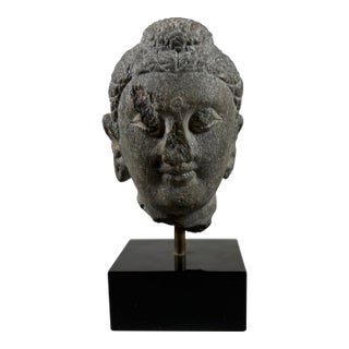 Sculpture De Tête De Bouddha en Schiste Gris De Gandhara, Royaumes Indo-Grecs, Ier–IIe Siècle For Sale