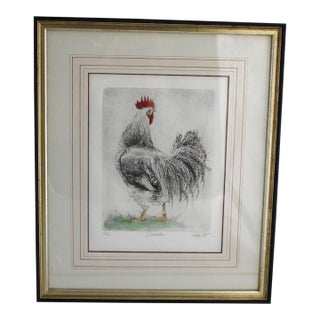 1990s Sandy Scott Signed Etching Rooster Chicken Limited Edition Framed Art Dominick For Sale