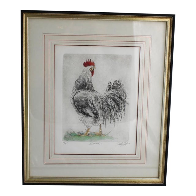 1990s Sandy Scott Signed Etching Rooster Chicken Limited Edition Framed Art Dominick For Sale