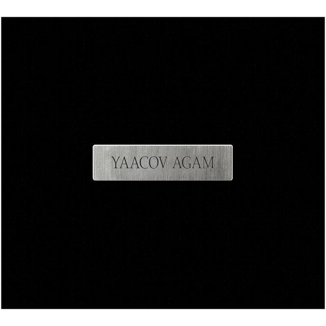 Agam Yaacov Late 20th Century Sun Beams, Yaacov Agam For Sale - Image 4 of 5